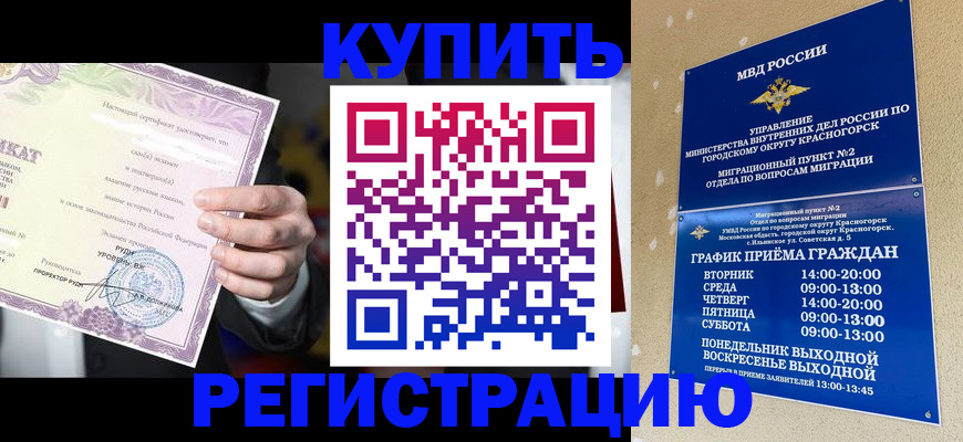 временная регистрация собственник в Михайловке